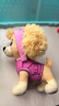 汪汪队立大功（PAW PATROL）毛绒玩具狗狗陪睡玩偶经典款天天站姿公仔男女孩六一儿童节礼物 实拍图