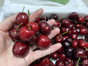 四叔公果蔬车厘子美早樱桃【JD-多地次日达】大连4J级大樱桃端午节水果礼盒 3斤(净重) 【超值推荐-80%选】爽吃礼盒* 【奢享级｜爽吃爆汁】3J 巨无霸 30-32mm 实拍图