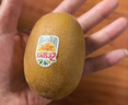 佳沛（zespri）新西兰 新果季 阳光金奇异果10粒巨大果单果146-175g 猕猴桃 实拍图