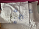 水星家纺枕套纯棉100%全棉枕头套单件A类枕头罩床上用品对枕套48x74cm 实拍图