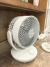 夏普小风铃空气循环扇电风扇家用小型桌面台式宿舍卧室办公室静轻音抑菌扇叶摇头台扇PJ-CA230B-A 实拍图