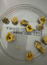 南京同仁堂菊花茶特级胎菊桐乡杭白菊花蕾黄去火清热解毒养肝护肝 实拍图