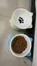 憨憨乐园猫碗陶瓷猫粮双碗斜口狗碗狗盆狗粮宠物幼猫咪吃饭食盆喝水喂食 实拍图