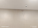 巨奇（JUQI）墙布清洁剂500ml壁布沙发壁纸地毯免水洗清洗剂家用去污神器 实拍图