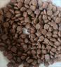 佩玛思特PetMaster深海鱼系列猫粮幼猫粮奶糕猫粮2kg 实拍图