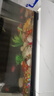 金鱼草金鱼观赏鱼冷水好养耐活小鱼苗锦鲤 2-4cm 红草金买3条送3条（加备损） 实拍图