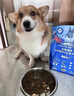 LEGENDSANDY蓝氏狗粮真鲜乳鸽中小型犬生骨肉冻干鲜肉犬粮6.18kg 实拍图