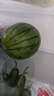 京鲜生 麒麟无籽西瓜 1粒装 净重5-7斤 生鲜水果 实拍图