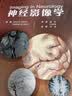 神经影像学 实拍图