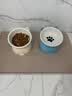 憨憨乐园猫碗陶瓷猫粮双碗斜口狗碗狗盆狗粮宠物幼猫咪吃饭食盆喝水喂食 实拍图