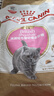 皇家猫粮 英短幼猫粮 BSK38 通用粮 4-12月 2KG 实拍图