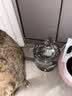 NPET猫咪饮水机流动水插电宠物饮水器自动循环猫水盆猫喝水神器喂水 插电基础款/USB接口/不含插头 实拍图