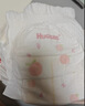 好奇（Huggies）铂金装小桃裤拉拉裤L76片(9-14kg)大号尿不湿【透爽散热】 实拍图