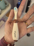 世喜儿童牙刷1-2-3岁婴幼儿宝宝超细软毛牙刷口腔清洁训练乳牙刷2支装 实拍图
