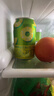 珠江啤酒（PEARL RIVER）珠江啤酒无酒精 珠江菠萝啤 330ml*24听 整箱装 京东自营踏春送礼 实拍图