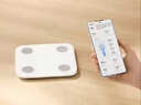 米家小米智能体脂秤S400蓝色 双接家用电子秤体重秤 高精准 25项身体数据平衡测试 体重体脂管理 实拍图