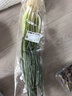 安心小香葱约150g 实拍图