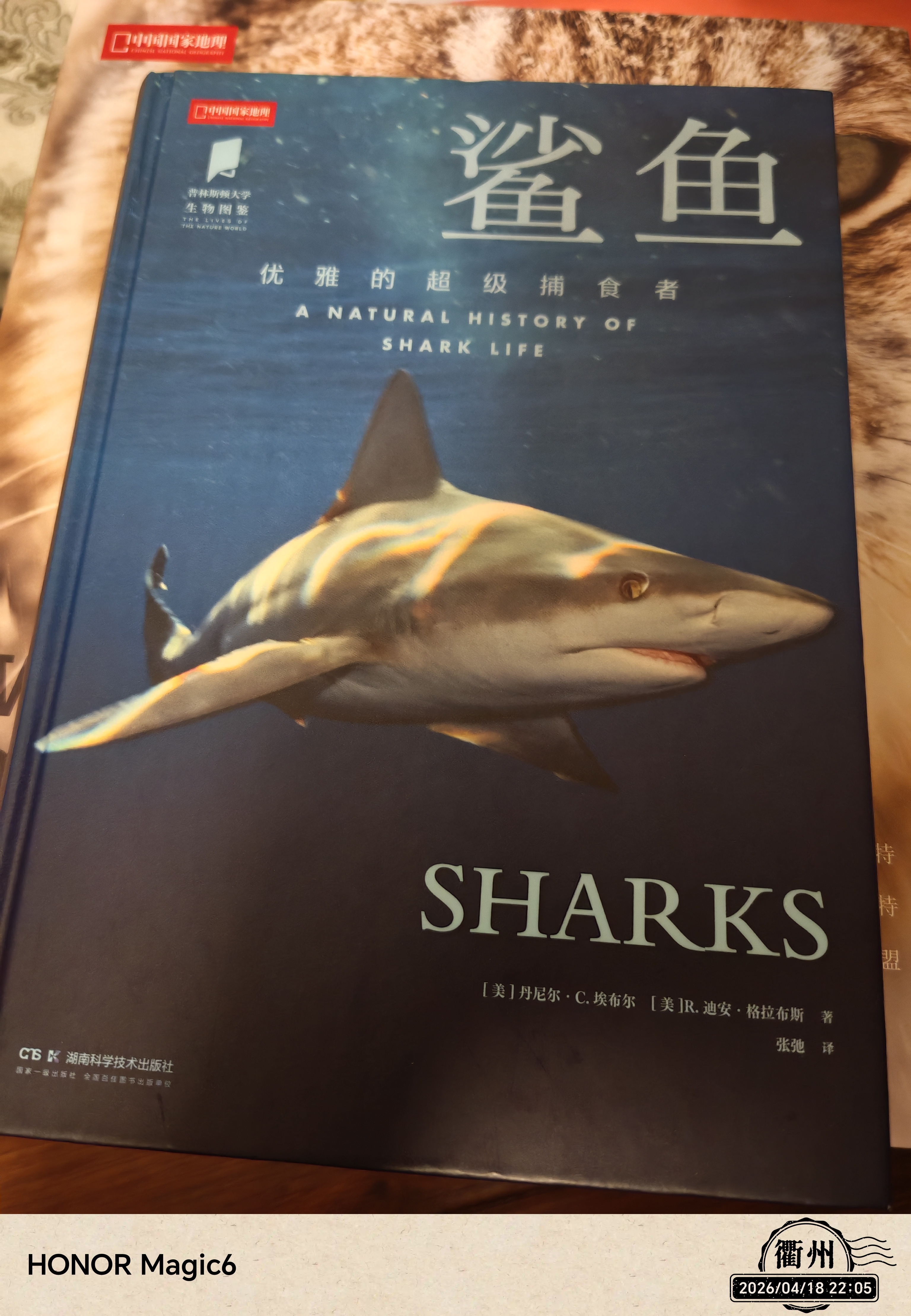 普林斯顿大学生物图鉴：鲨鱼（展现多种鲨鱼以及它们的生境。赠“鲨鱼出没注意”木浆棉洗碗布） 实拍图