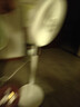 艾美特（AIRMATE）【轻语系列】电风扇安静卧室一级能效落地扇轻音家用直流变频大风力台立式节能遥控全屋驱蚊循环扇 实拍图