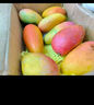 京鲜生 海南贵妃芒果 5斤礼盒装 单果120起 新鲜水果 实拍图