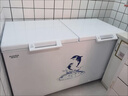 澳柯玛（AUCMA）500升单温冷柜家用卧式大冰柜 雪糕柜 冷藏柜冷冻柜 顶开门冰箱 一级能效 BC/BD-500HNE 以旧换新 实拍图