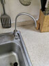 道尔顿（Doulton）净水器家用直饮 厨房自来水龙头过滤器矽藻陶瓷净水机超滤无废水厨下式 D-IS 实拍图