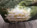 babycare金山茶花拉拉裤XL34片(12-17kg)婴儿尿不湿超薄透气新生柔花苞裤 实拍图