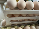 鸡蛋收纳盒冰箱专用保鲜盒家用收纳厨房保鲜盒加高款鸡蛋盒 鸡蛋盒 1个 实拍图