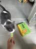多特思猫零食小轻松猫草猫条50支0肉粉0诱食剂排毛化毛成幼猫条软罐头 实拍图