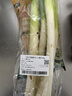 【农户直通车】大葱约500g 实拍图