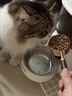 Diamond Care钻石护理低脂绝育减肥控体健美鲜肉成猫粮2.72kg 效期27年10月 实拍图