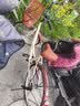 金武端自行车成人通勤车单车学生式女士轻便休闲实心胎复古上班变速买菜 尊享版-单速-复古黄 24寸 实拍图