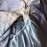 百丽丝水星家纺出品全棉床笠纯棉床单床笠罩单件全包床笠床垫保护套 实拍图