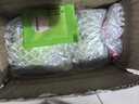 京喜加正宗广东产红心芭乐水果新鲜包邮低糖软糯鸡屎果巴乐胭脂红番石榴 广东奶油【白心芭乐】（2个装）净重0.4斤 实拍图