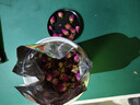 福东海  玫瑰花茶100g花草茶大朵【特优当季新货】平阴重瓣干 养生茶叶 实拍图