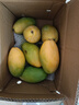 庾丰 海南芒果 新鲜水果生鲜整箱当季大青皮金煌芒 热带孕妇玉芒果 10斤装（净重9斤） 单果250克+ 实拍图