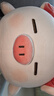 名创优品（MINISO）小猪B-BO弹力超柔趴姿公仔毛绒玩具玩偶抱枕靠枕娃娃生日礼物女 实拍图