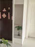 小匠材亚克力软镜子贴墙全身镜家用穿衣镜试衣镜宿舍镜贴墙40*150 实拍图