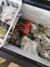 星星（XINGX）牌冰柜家用203L大容量冷藏冷冻两用小型冰箱一级能效节能微霜风冷无霜-40℃深冷速冻【全铜管】 【店长推荐】 203L 专利减霜80% -30℃深冷速冻 实拍图