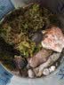 黄缘龟幼龟龟苗乌龟活物台缘龟活体闭壳金钱陆地箱龟宠物龟 2岁浙江缘(20-40克) 视频挑选黄缘龟 晒单实拍图