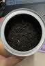 天之红祁门红茶品质自饮密封罐桂花祁红50g 实拍图