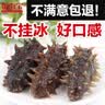 御海宝 即食海参500g长岛大连辽刺参 500g 4-7(简装-大个头) 实拍图