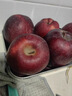 京鲜生甘肃天水花牛苹果 又大又红 950g尝鲜装 单果160-190g 生鲜水果 实拍图
