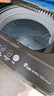 小天鹅（LittleSwan）波轮洗衣机小型全自动家用 8KG 直驱变频 TB80V26DT 以旧换新 国家补贴 京东自营 一级能效 实拍图