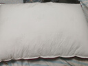 水星家纺枕头枕芯酒店枕头护颈枕头芯家用单个纯棉抗菌可水洗中枕48x74cm 实拍图