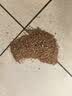 摩可纳（Moccona）经典8号冻干速溶黑咖100g瓶装 深烘进口拿铁美式0脂0糖400次咖啡 实拍图