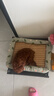 licheers猫狗窝凉席小型犬宠物猫咪睡垫夏季床垫泰迪中大型犬狗垫子 M号 实拍图