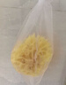 OKBABY天然海绵婴儿洗澡海绵宝宝洗澡沐浴球儿童成人洗脸搓澡蜂窝海绵 S级细幼型16#【儿童成人洁面/洗澡】 实拍图