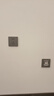 罗格朗（LEGRAND）开关插座面板逸景系列深砂银色网插 一位六类电脑插座 实拍图