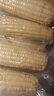 京鲜生东北白糯玉米250g*10棒 新鲜甜糯玉米棒真空包装粘玉米 源头直发 实拍图